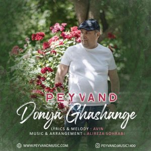 آهنگ پیوند به نام دنیا قشنگه